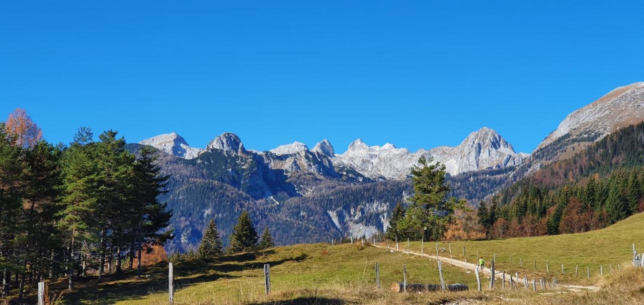 Prbajtnjeko Villa Bohinj Exteriör bild