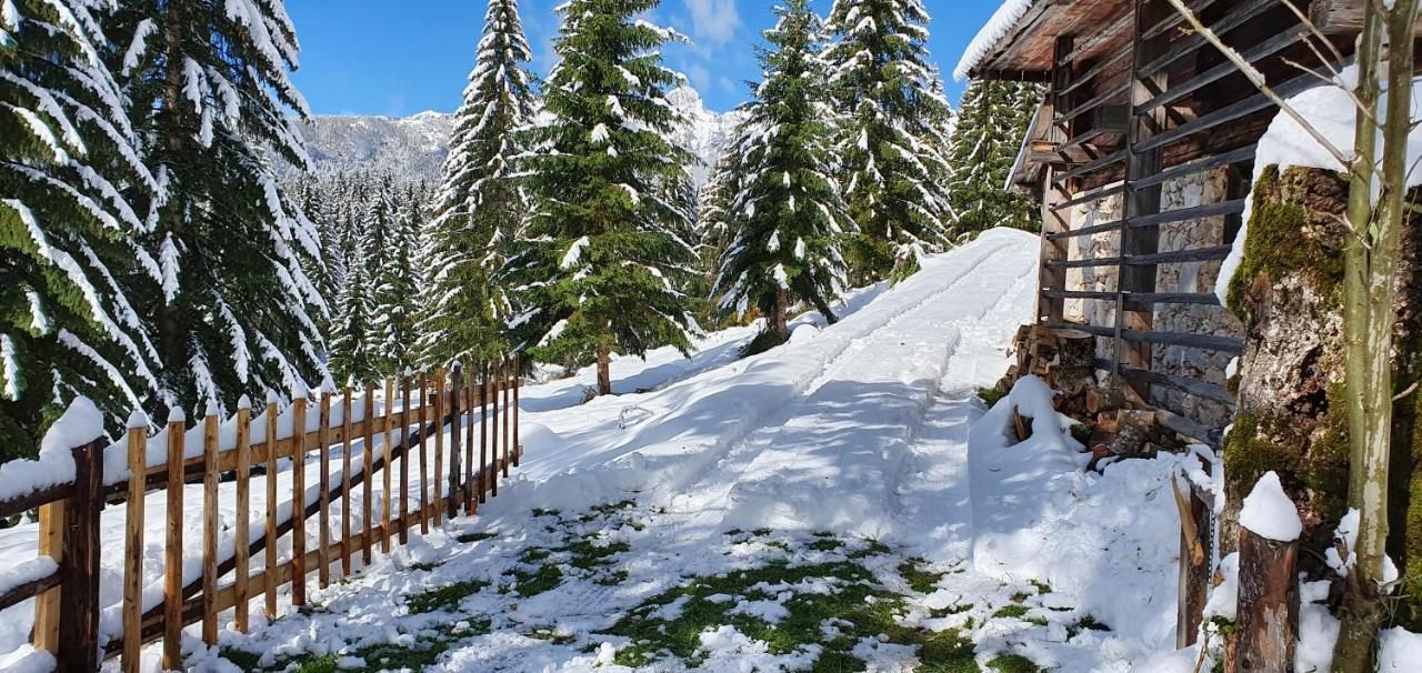 Prbajtnjeko Villa Bohinj Exteriör bild